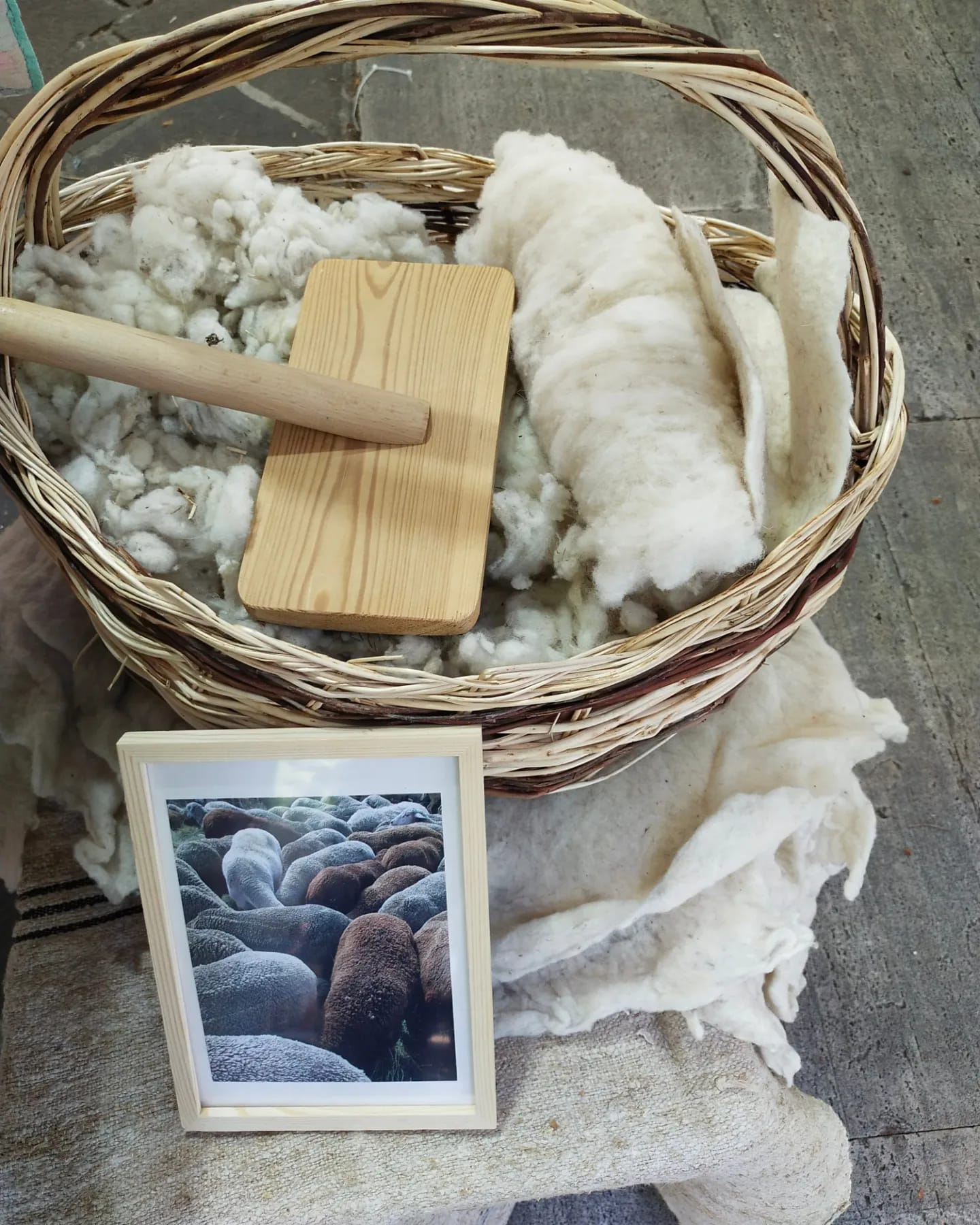 immagine colonna destra