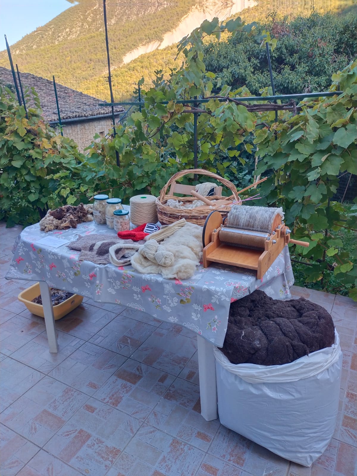 immagine colonna destra