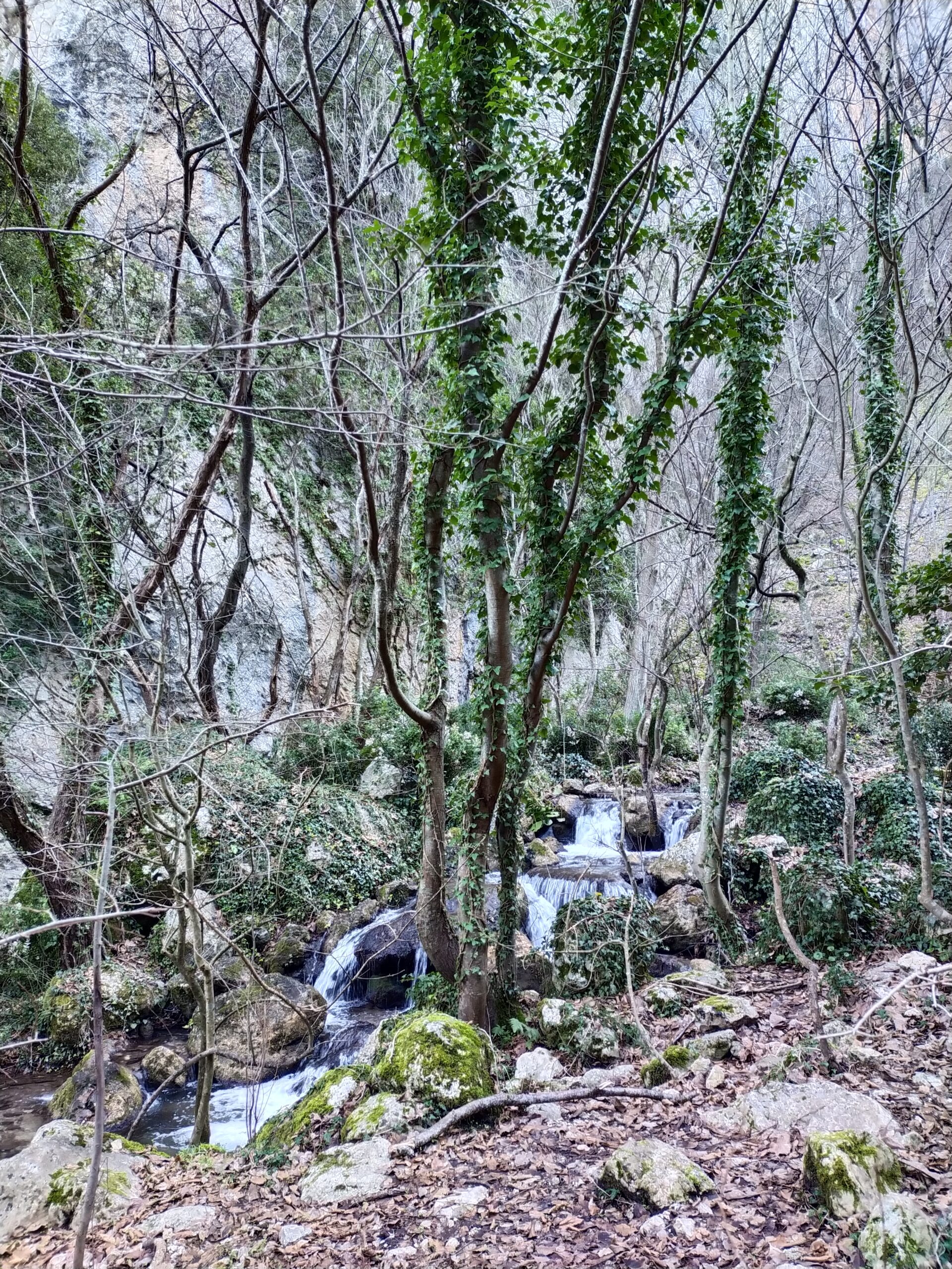 immagine colonna destra