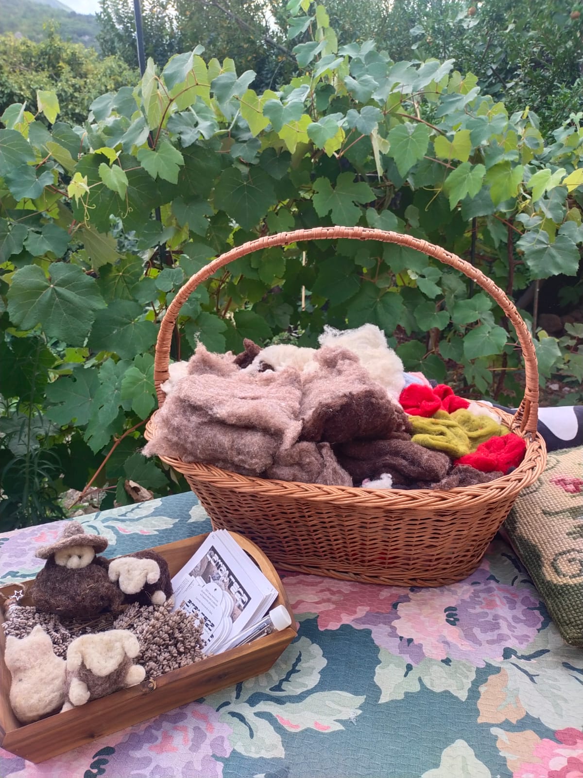 immagine colonna destra